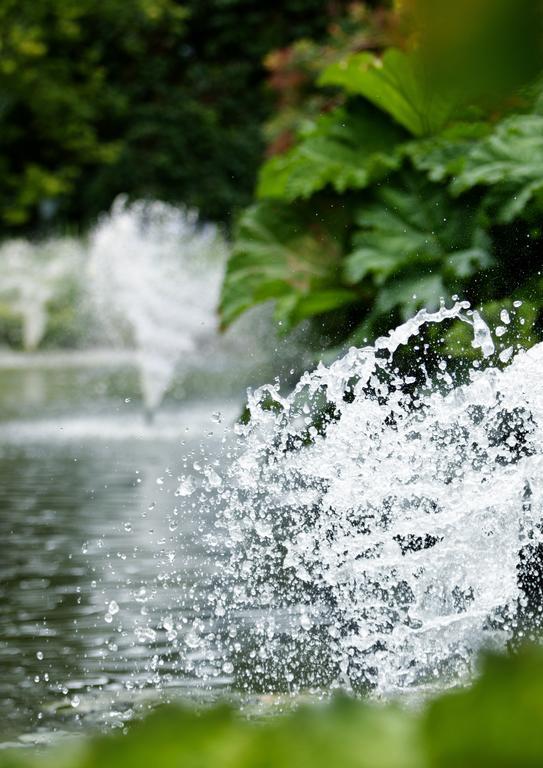 Egrove Park, University Of Oxford South Hinksey Bagian luar foto