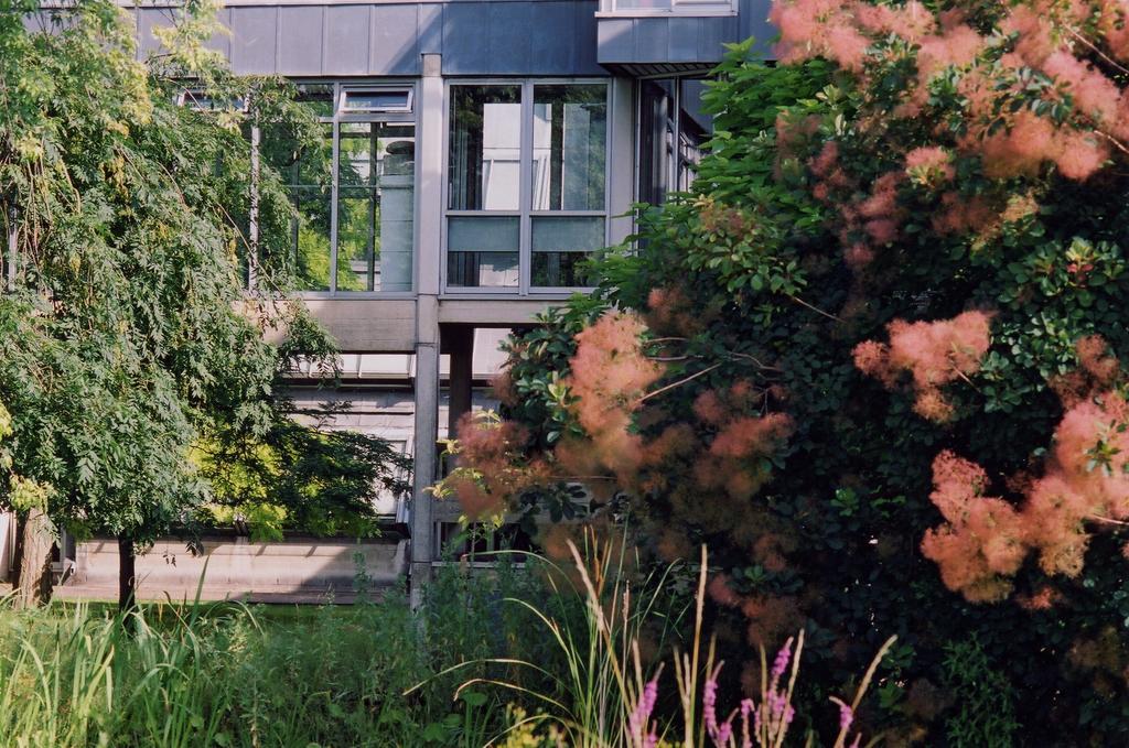 Egrove Park, University Of Oxford South Hinksey Bagian luar foto